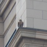 Beauty on the Kodak Tower - 8/8/12