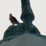 Orion on the Base of the Mercury Statue - 8/14/12