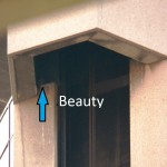 Beauty on the left (south) side ledge of the OCSR elevator shaft
