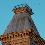 Starlings on Widows Walk