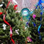 High Falls Christmas Trees - 12/9/12