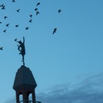 Pigeons Flying past Mercury - 12/6/12