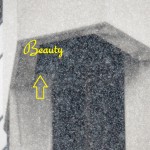 Beauty in OCSR Elevator Shaft 1/25/13
