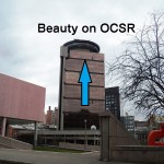 Beauty on OCSR NE Side - 1/13/13