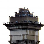 Pigeon Pyramid on the Ford St Bridge - 1/11/13