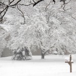 Winter Storm 2/8/13