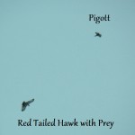 Pigott & the Hawk 3/3/13