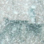 Beauty at the nest box on the TSB seen through the heavy snow - 4/2/13