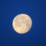 img_6557-moon-in-the-morning