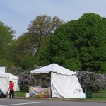 img_7913-lilac-festival-at-highland-and-goodman-st-intersection