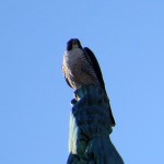 img_0058-dc