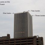 6-three-juvies-on-the-chase-tower-7-22-131