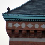 img_0056-on-church-roof