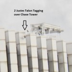 Two Juvies Talon Tagging Over Chase Tower 8-13-13