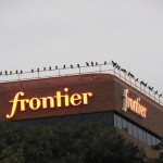 Crows on Frontier Bldg 8-8-13