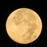 img_0001-blue-moon-to-start-my-day