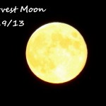 11-harvest-moon-9-19-13