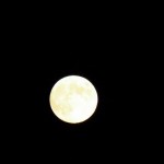 An Almost Full Moon 9-18-13