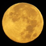 img_0002-harvest-moon