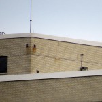 img_0038-juvie-likes-this-spot-on-he-roof