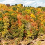4-genesee-gorge-from-driving-park-bridge-10-20-13