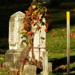 5-mt-hope-cemetery-10-16-13