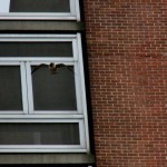 Tiercel at BS 10-5-13