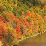 6-genesee-gorge-from-driving-park-bridge-10-20-13