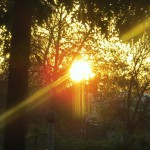 img_0025-the-sun-peeking-thru-an-opening-in-trees