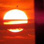 img_0026-sunrise-with-the-birds