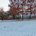 Snow Covered Field at BS About a 1/2 inch of Snow 11-12-13