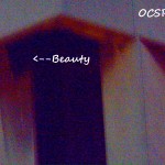 Beauty in the OCSR Elevator Shaft 11-21-13