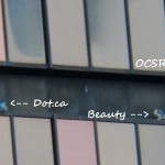 Dot.ca and Beauty on top IBeam of OCSR 11-7-13