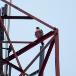 img_0029-red-throated-peregrine
