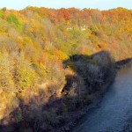 img_0078-trees-getting-bare-in-river-gorge-by-hawkeye