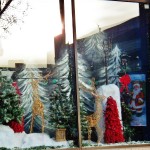 Downtown Christmas Window St Paul-Main St 12-8-13