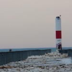 Snowy Owl on the Charlotte Pier 12-29-13