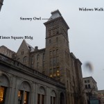 Snowy Owl Downtown on Widows Walk 12-20-13