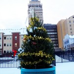 Christmas Tree Near Kodak Office 12-18-131