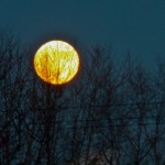 Full Moon Rising 12-16-13