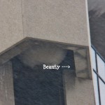 Beauty in OCSR Elevator Shaft 1-21-14