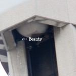 Beauty in the OCSR Elevator Shaft 1-30-14