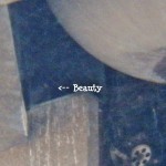 Beauty in OCSR Elevator Shaft 1-29-14