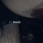 Beauty in the OCSR Elevator Shaft 1-30-14