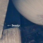 Beauty in the OCSR Elevator Shaft 1-15-14