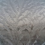 Frost Art 1-29-14