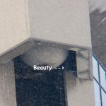 Beauty in OCSR Elevator Shaft 2-15-14