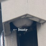 Beauty in the OCSR Elevator Shaft 2-1-14