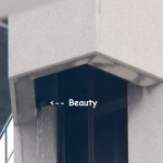 Beauty OCSR Elevator Shaft 2-19-14