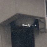 Beauty in the OCSR Elevator Shaft 2-9-14